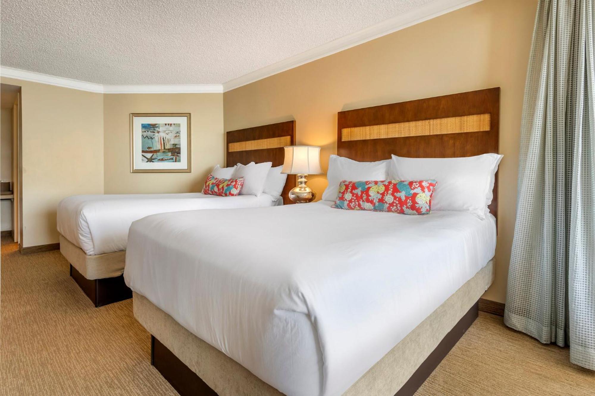 Omni Corpus Christi